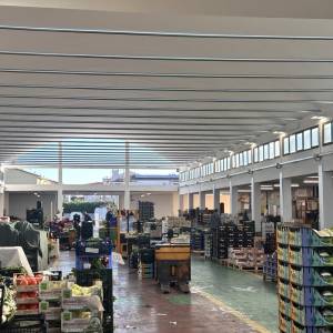 Mercato Ortofrutticolo 5