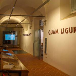 Museo Archeologico Versiliese 'Bruno Antonucci'