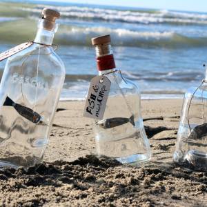 Progetto Ri-Generazioni 4