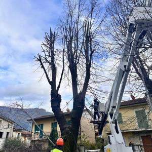 via Roma a Camaiore 2
