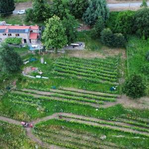 Azienda agricola Casale alle Piane