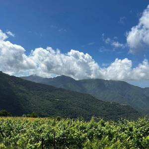 Vitigno Casale alle Piane