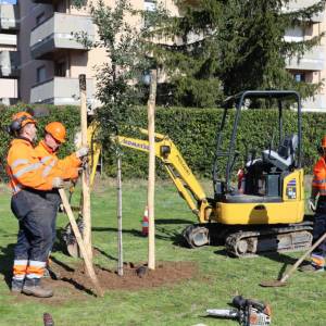 Camaiore il verde cresce 2