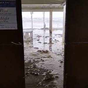 Forte dei Marmi Bagno Bonaccia 3-11-23