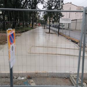 alberi piazza Piave e piazza della Rimembranza 4