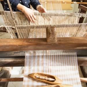 WhatsApp Image 2026-03-04 at 17.26.251