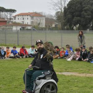 I Rapaci delle rupi di Porta 6