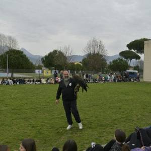 I Rapaci delle rupi di Porta 8