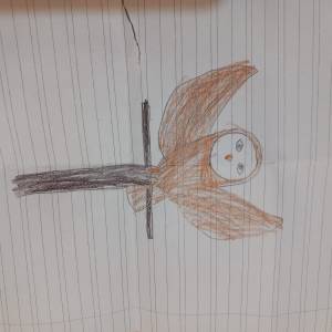 I Rapaci delle rupi di Porta 9