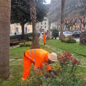 Giardinetti Seravezza 