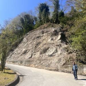 Frana sulla via per Torcigliano 2