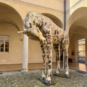 jacopo allegrucci la giraffa a parma nel chiostro della casa della musica 1