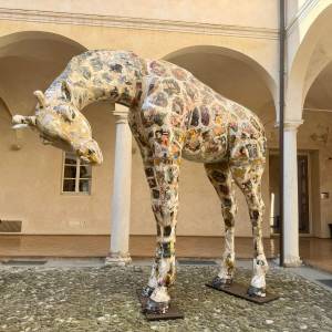 jacopo allegrucci la giraffa a parma nel chiostro della casa della musica 2