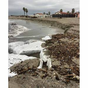 BASSA_Bagno Oliviero – Ronchi 12 -2 - 2026