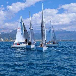 WhatsApp Image 2026-04-18 at 15.50.45 (9) copia