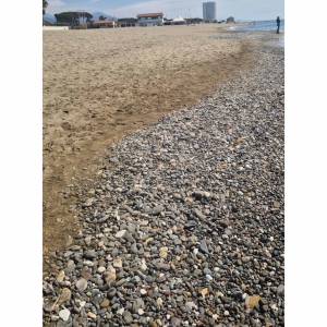 BASSA__1 Bagno fausto e la cicala, partaccia 10.04.26