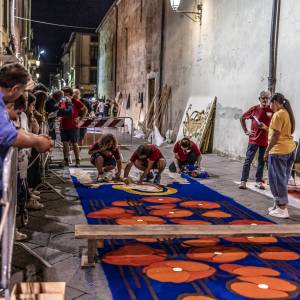 Tappeti di Segatura 3