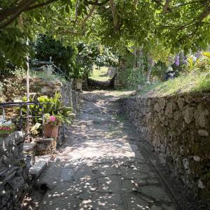 image00001