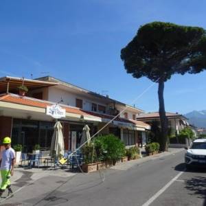 Prova trazione pino 2