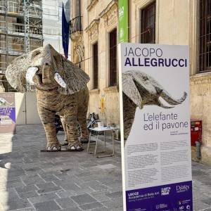 elefante di jacopo allegrucci a lecce 2