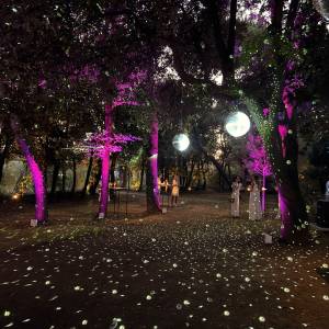 image00002