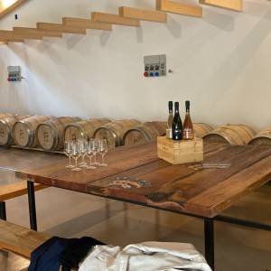 Tenuta Mariani di Massaciuccoli sala degustazione ebarricaia