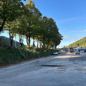 Controviale di Camaiore 2