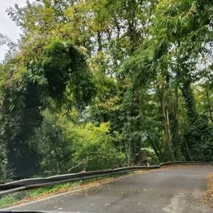 Sp 42 stato del guardrail