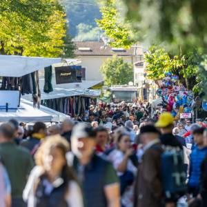 Camaiore - Fiera di Ognissanti 2