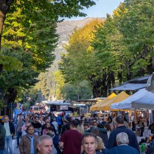 Camaiore - Fiera di Ognissanti 3
